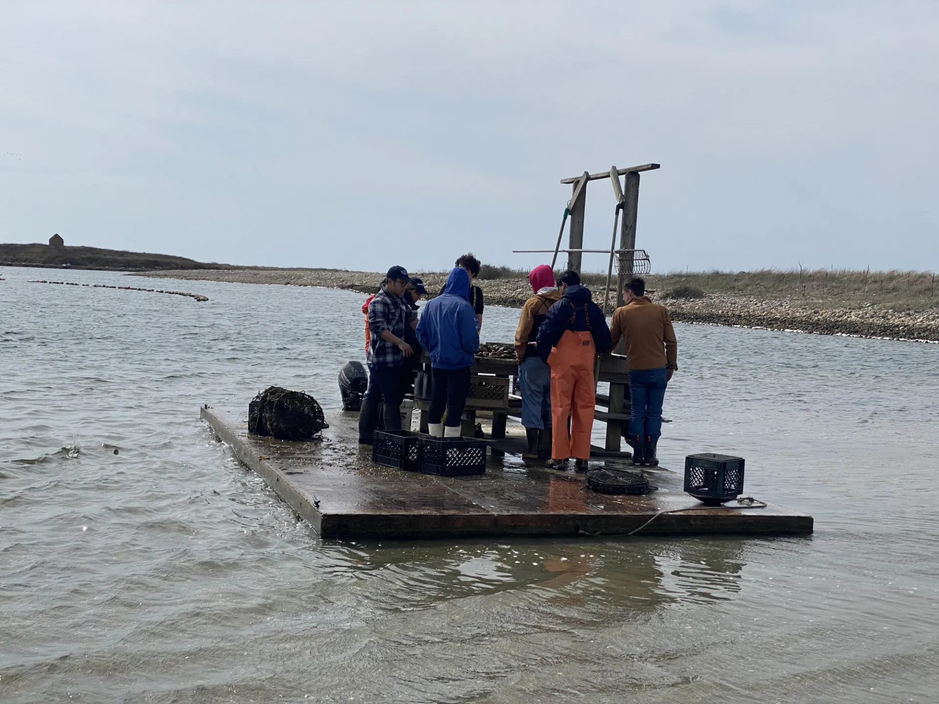 Students on the utility raft at the oyster farm