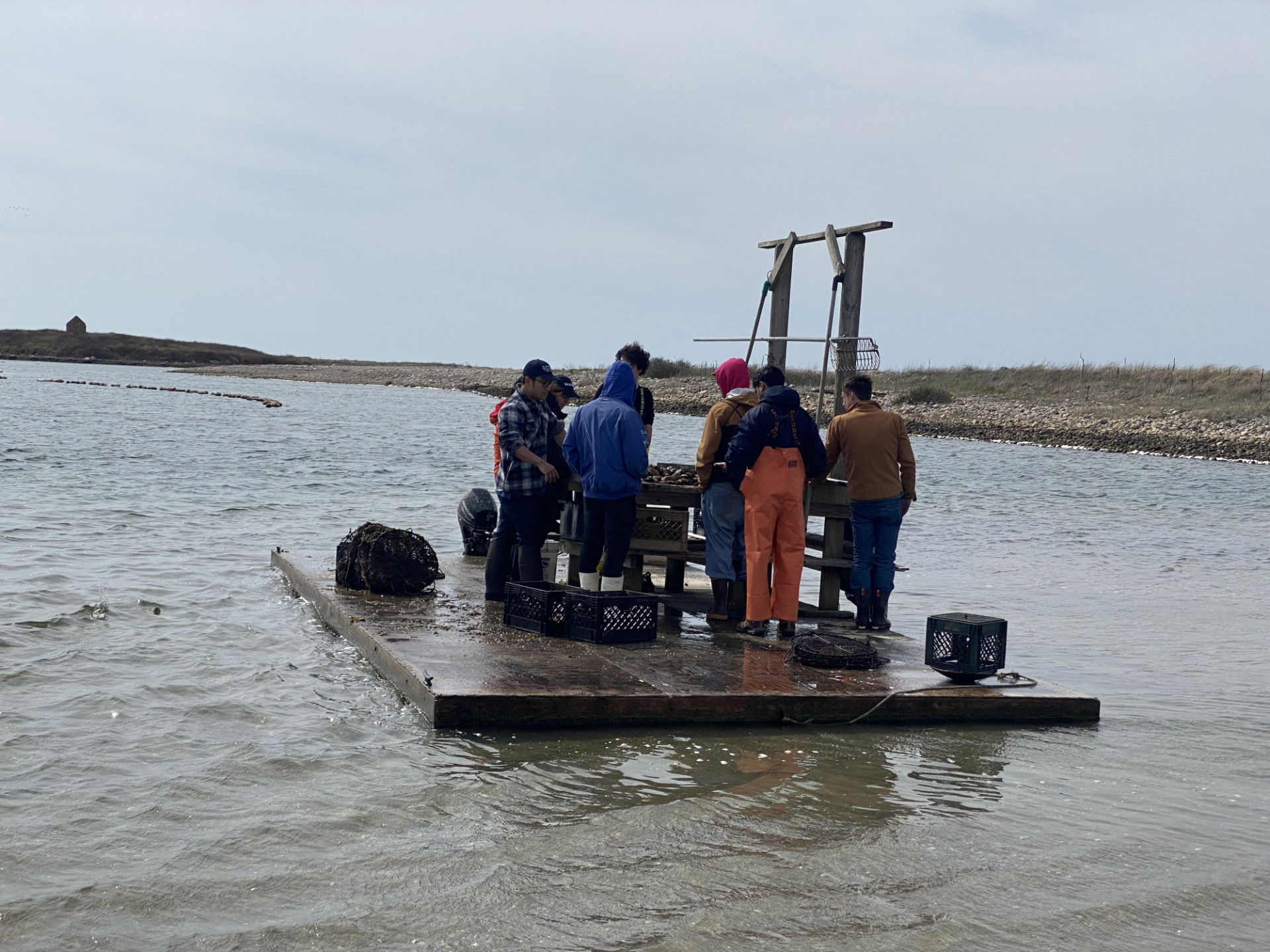 Students on the utility raft at the oyster farm